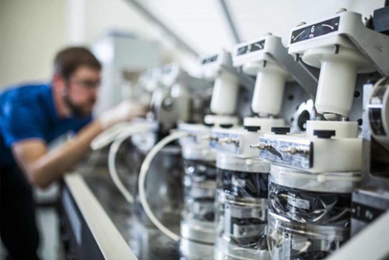 박동원, LG 트윈스의 거포 안방마님이 되기까지의 여정 박동원이 야구장에서 경기에 출전하는 모습, 선명한 유니폼과 집중한 표정으로 타석에 서 있다.