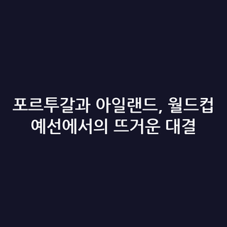 포르투갈과 아일랜드, 월드컵 예선에서의 뜨거운 대결