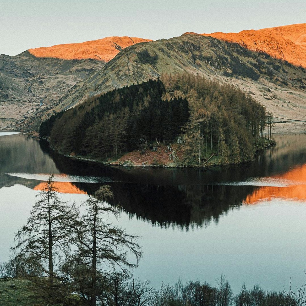 2025 LoL 월드 챔피언십, T1과 IG의 대결이 주목받는 이유 인스타그램에서 친구들과의 순간을 공유하는 모습, 'ig'의 소셜 미디어 기능 활용