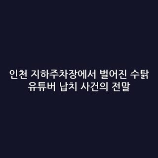 인천 지하주차장에서 벌어진 수탉 유튜버 납치 사건의 전말