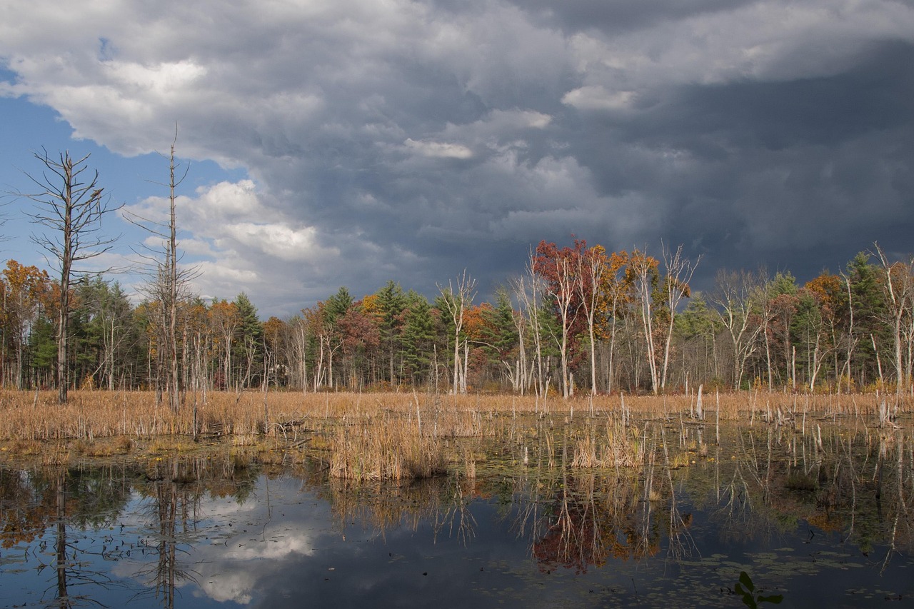 잉글랜드의 압도적 경기력: 라트비아를 물리친 5대 0의 대승 라트비아 대 잉글랜드 경기 중 선수들이 열띤 경쟁을 펼치는 모습