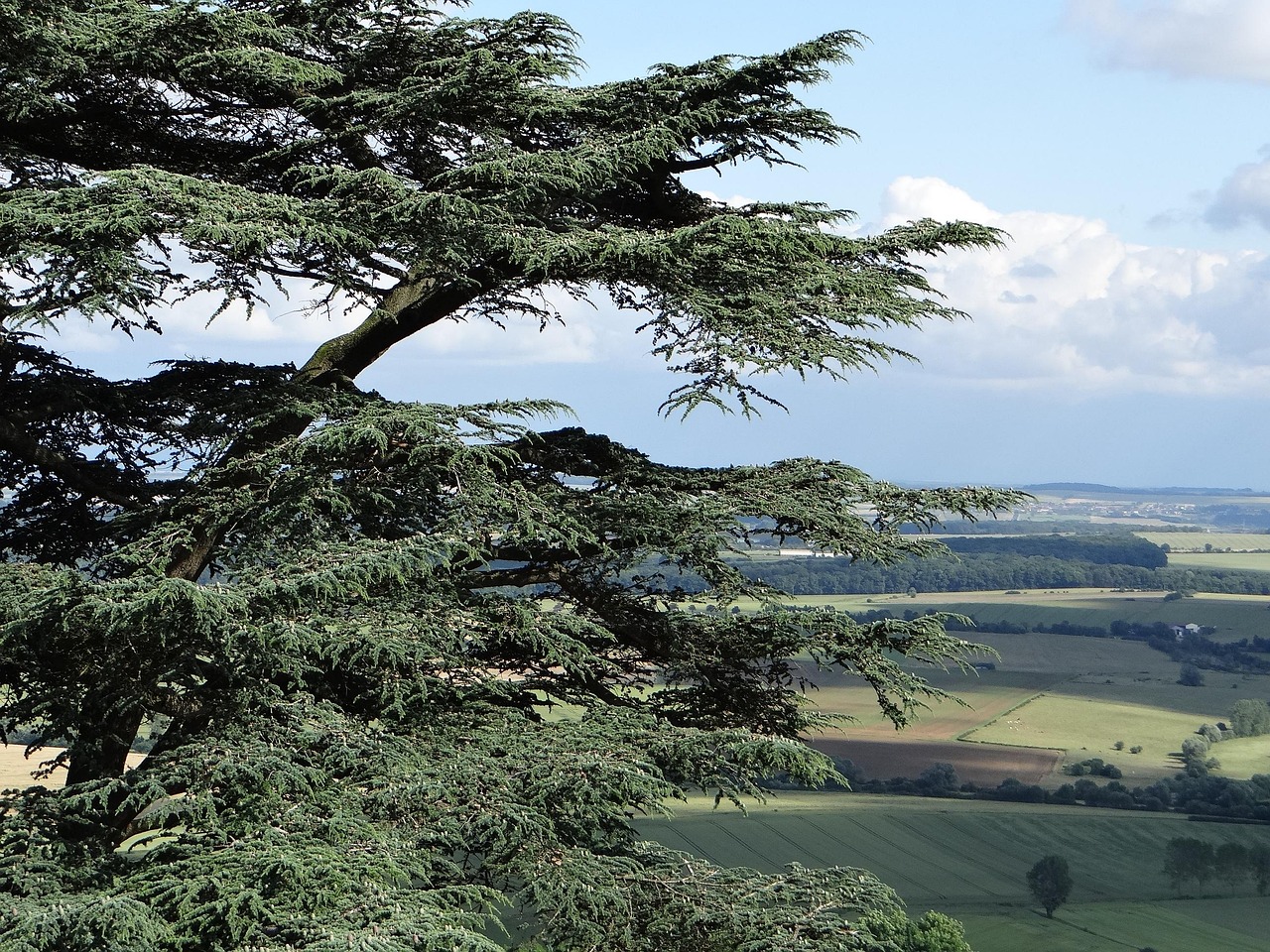 안전하고 지속 가능한 자동차 산업을 위한 현대차의 비전 현대차의 최신 모델이 도로에서 주행 중인 모습, 혁신적인 디자인 강조