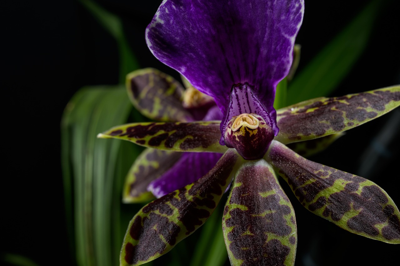 모델 문가비, 사랑의 결실을 공개하다: 그녀의 일상과 아들에 대한 이야기 문가비의 다양한 스타일링을 보여주는 패션 화보 이미지