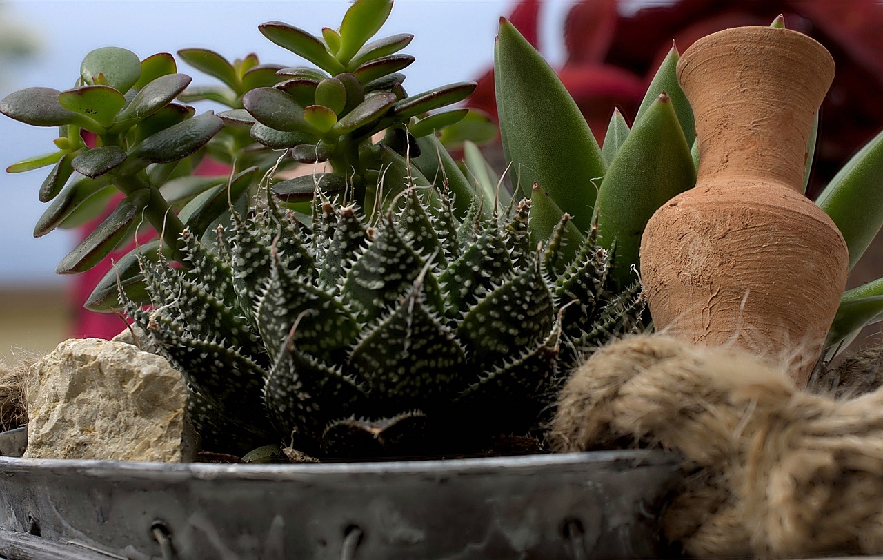 엔믹스의 멤버들이 화려한 무대에서 공연하는 모습과 팬들의 열광적인 반응