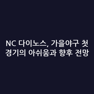 NC 다이노스, 가을야구 첫 경기의 아쉬움과 향후 전망