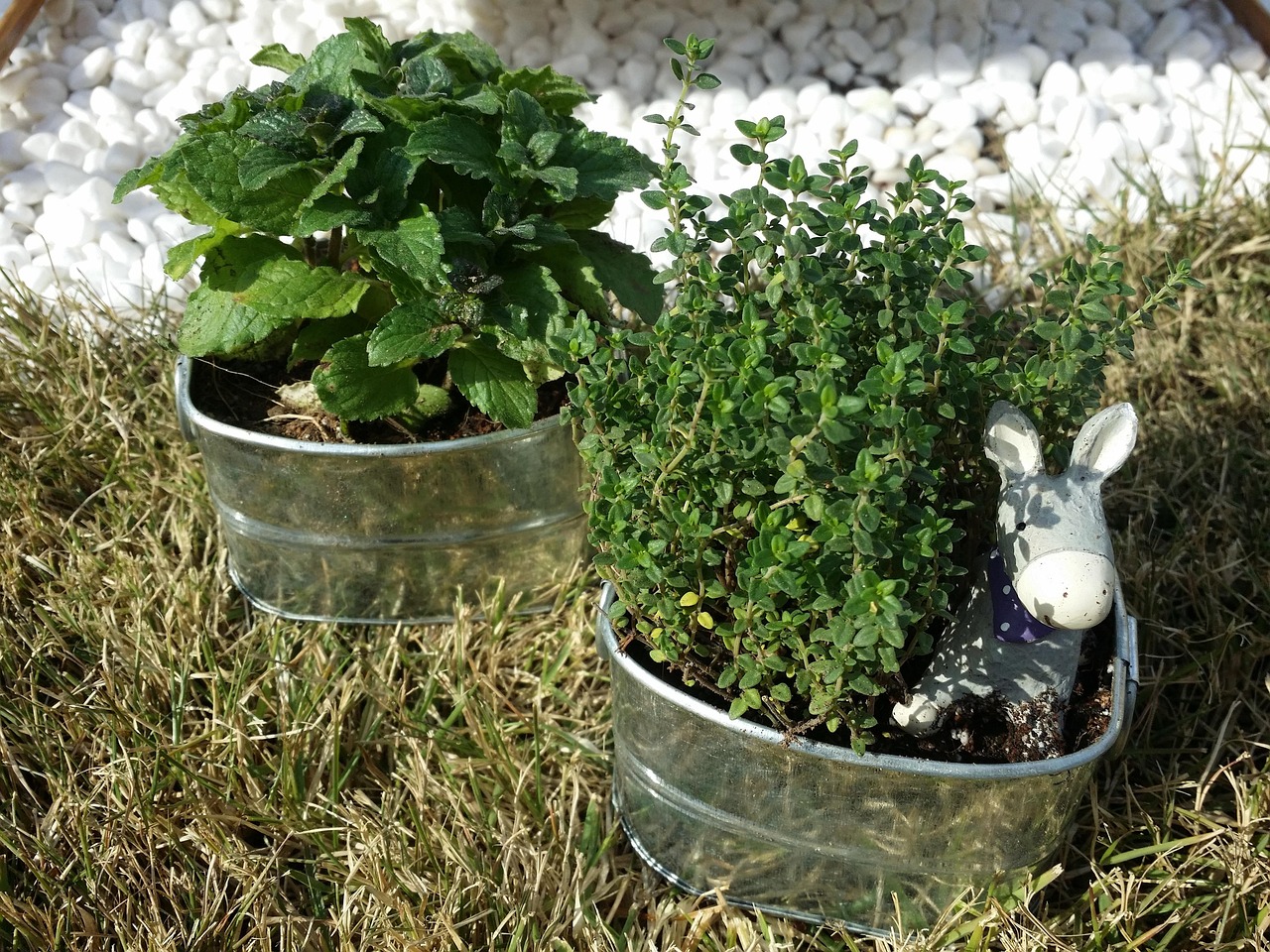 함은정이 라이브 공연 중 관객과 소통하며 노래하는 모습