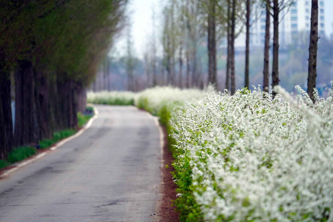 메타 주가 급락, 그 이면에 숨겨진 진실은? 메타 주가의 변동 추세를 보여주는 그래프와 차트 이미지