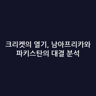 크리켓의 열기, 남아프리카와 파키스탄의 대결 분석