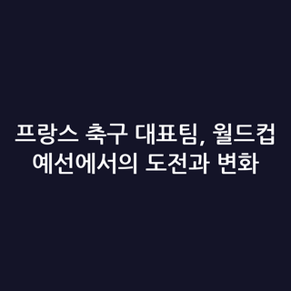 프랑스 축구 대표팀, 월드컵 예선에서의 도전과 변화