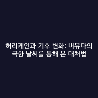 허리케인과 기후 변화: 버뮤다의 극한 날씨를 통해 본 대처법