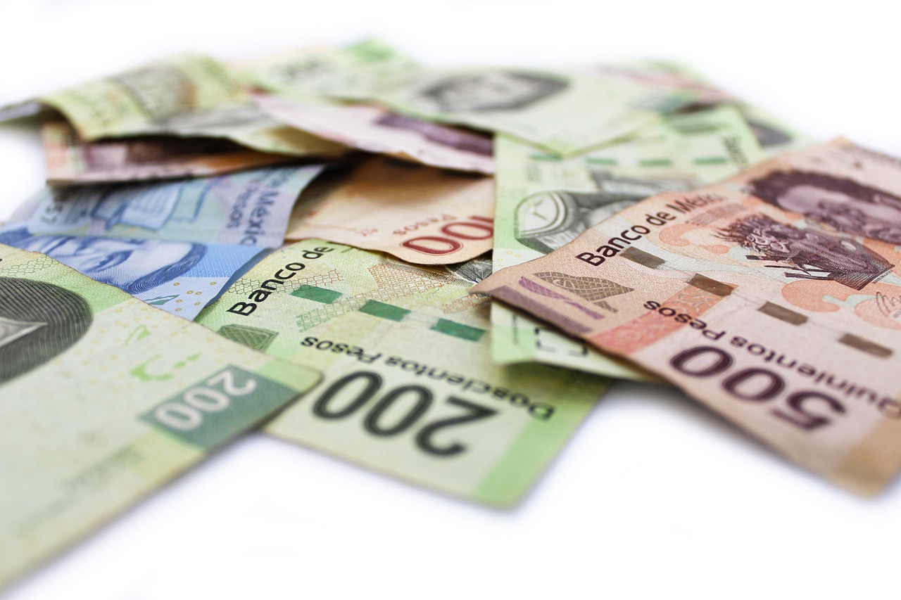 NOL 티켓: 예매의 모든 것을 알고 준비하자 서울 지하철에서 사용하는 nol 티켓을 손에 들고 있는 모습