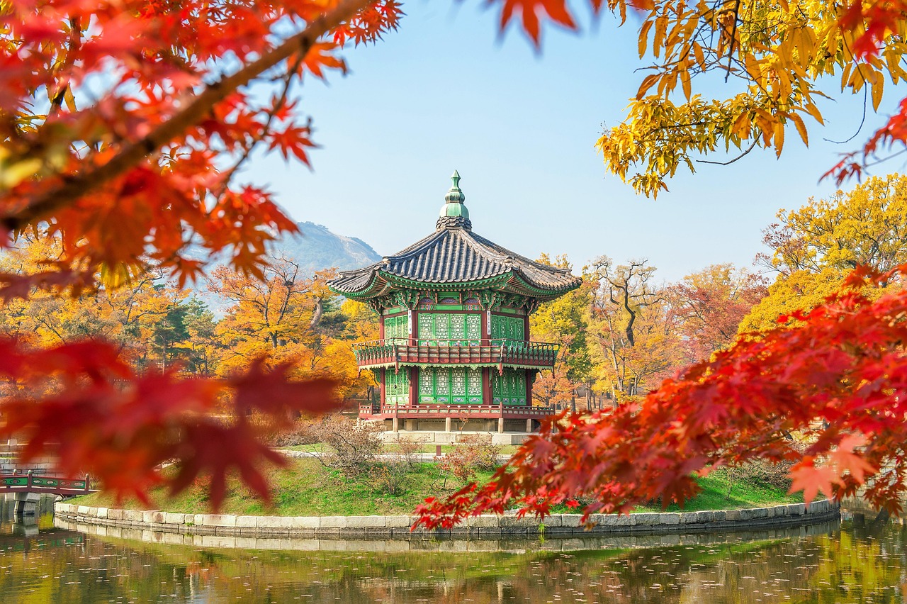 부산 KCC와 서울 SK의 대결, 프로농구의 새로운 전환점 서울 SK와 부산 KCC의 농구 경기를 응원하는 팬들의 열띤 모습