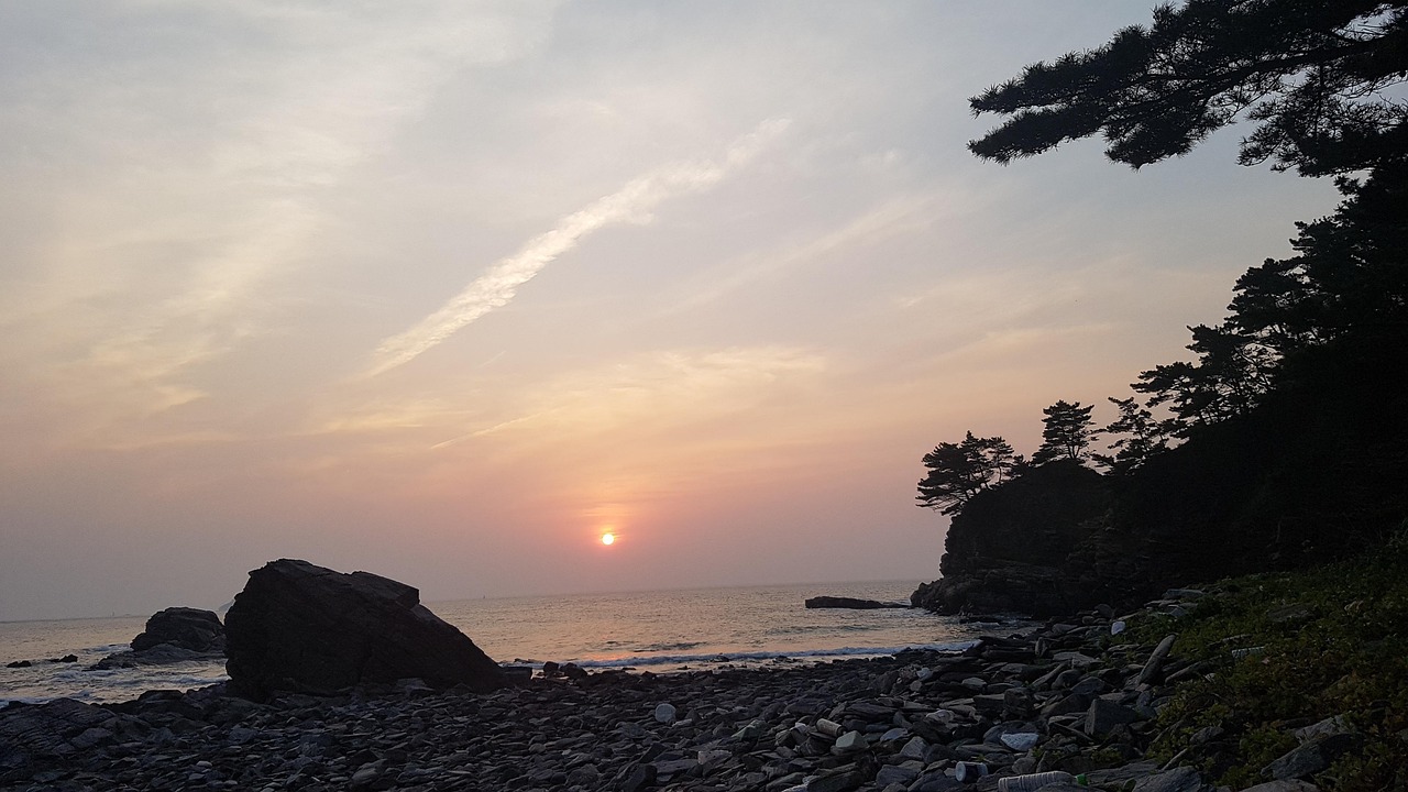 태안 해안가에서 밀입국 사건을 다루는 뉴스 기사 이미지