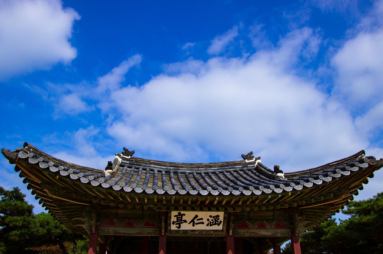 FC 서울과 강원FC의 역전 드라마: K리그 시즌의 긴장감 넘치는 순간들 FC 서울과 강원FC의 치열한 경기 중 선수들이 공을 쫓는 순간