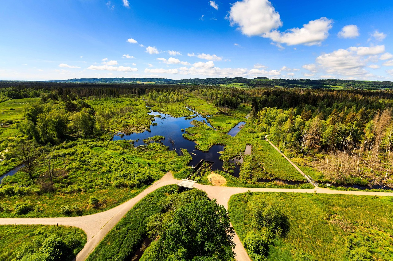 영화 '퍼스트 라이드', 0원 티켓 프로모션과 OST 발매의 모든 것 퍼스트라이드에서 자전거를 처음 타는 어린이의 즐거운 모습