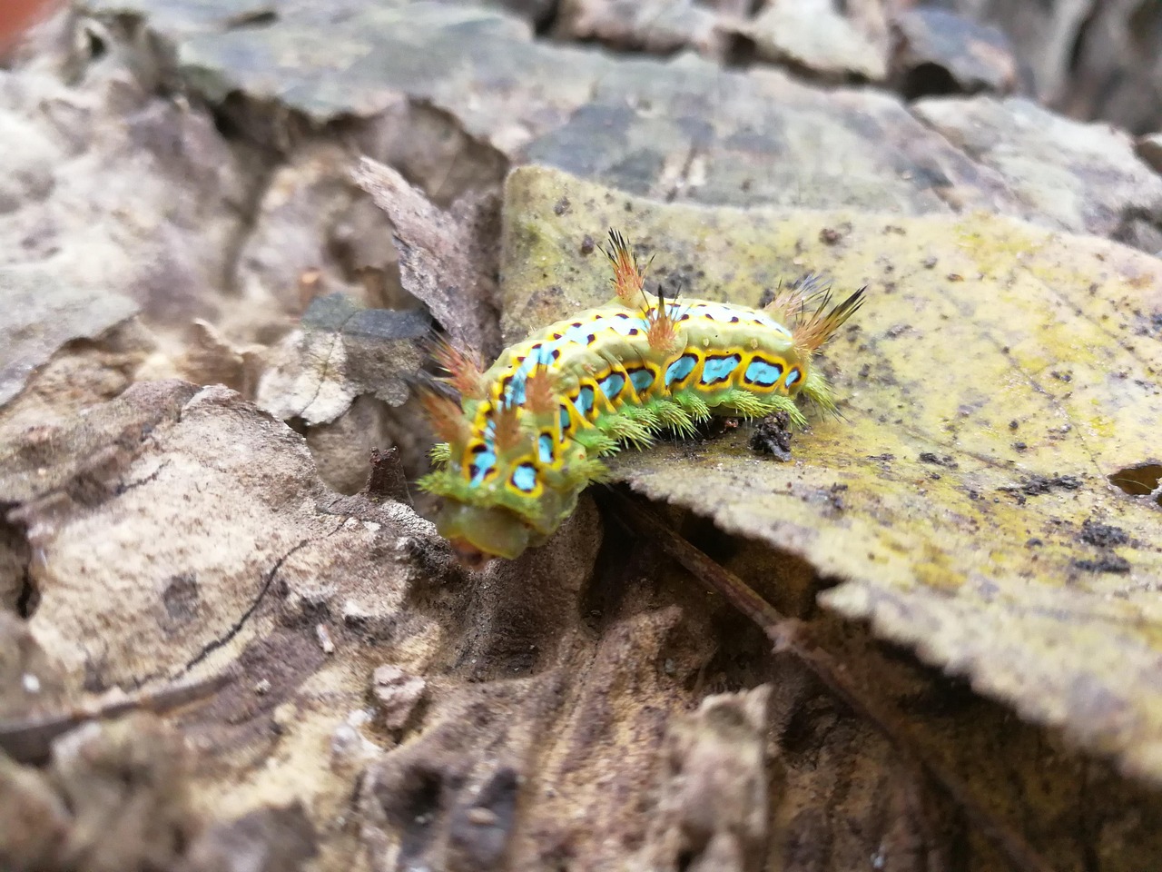 오타니 쇼헤이와 함께하는 메이저리그 월드시리즈의 대서사시 월드시리즈 경기에서 선수들이 홈런을 치기 위해 배트Swing하는 순간