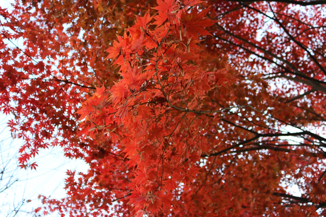 원로 배우 이문수, 그가 남긴 유산과 기억들 이문수 작가의 작품을 감상하며 깊은 감동에 빠진 관객의 모습
