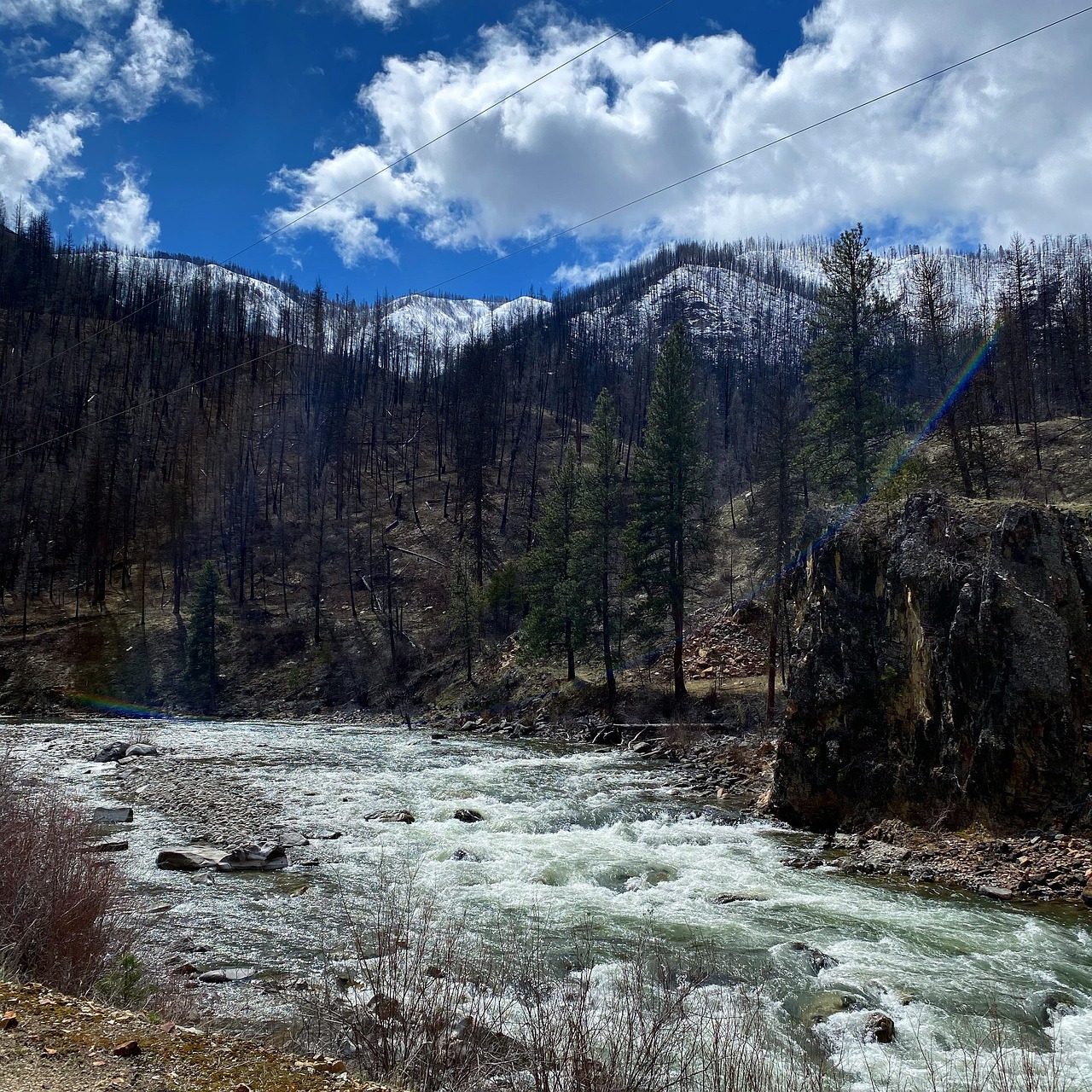 원지의 아름다운 자연 경관과 푸르른 산이 어우러진 풍경 사진