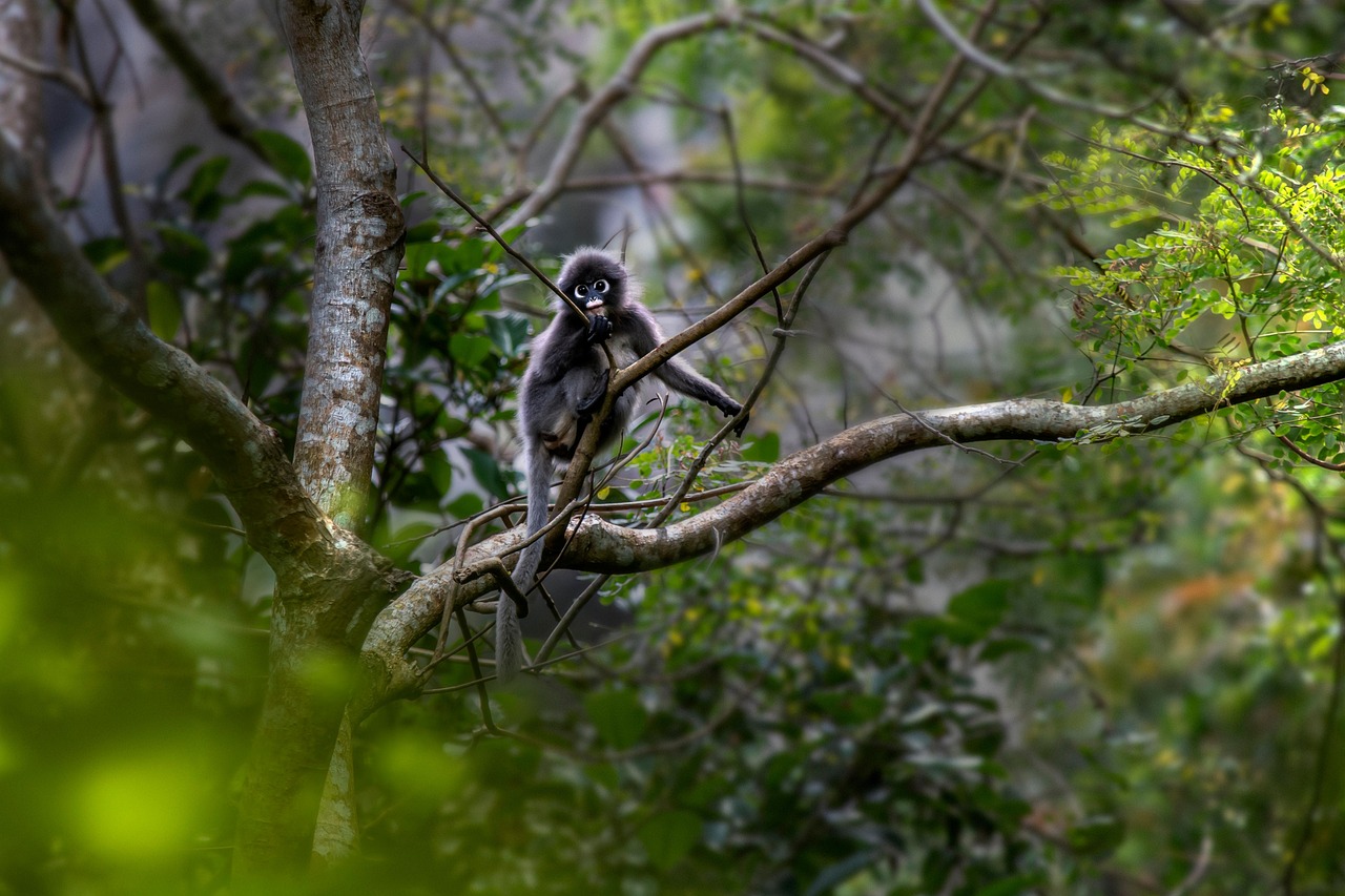 나경원이 정치 행사에서 연설하는 모습으로 카메라를 바라보고 있는 장면