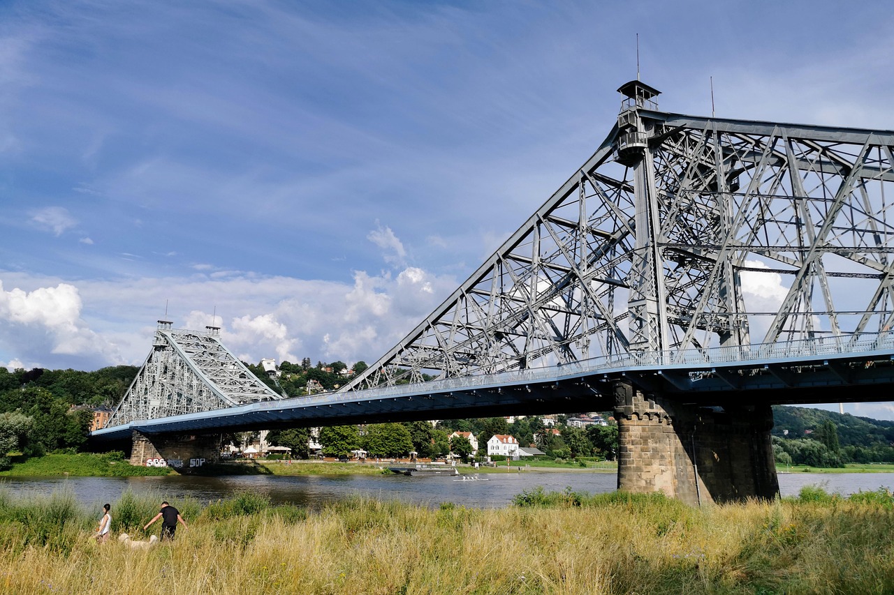 원더독스의 다양한 강아지들이 뛰어노는 모습과 행복한 표정