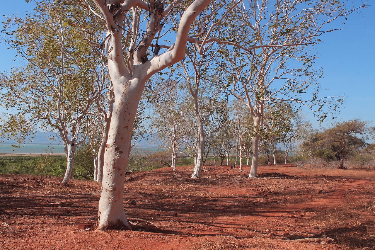 쿠팡 개인정보 유출 사건: 우리에게 주는 교훈 쿠팡에서 다양한 상품을 검색하고 장바구니에 담는 모습