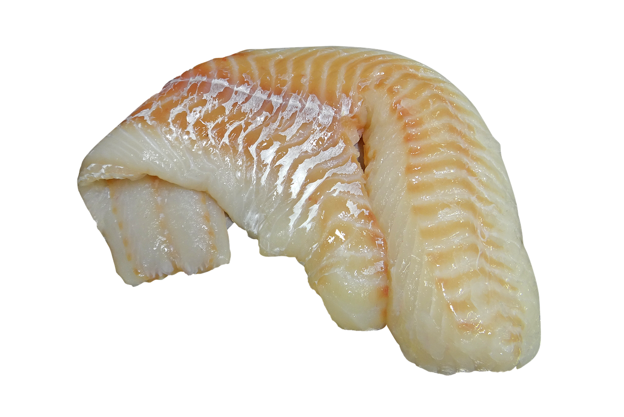 제주 대 대구의 아름다운 풍경을 배경으로 한 여행 사진