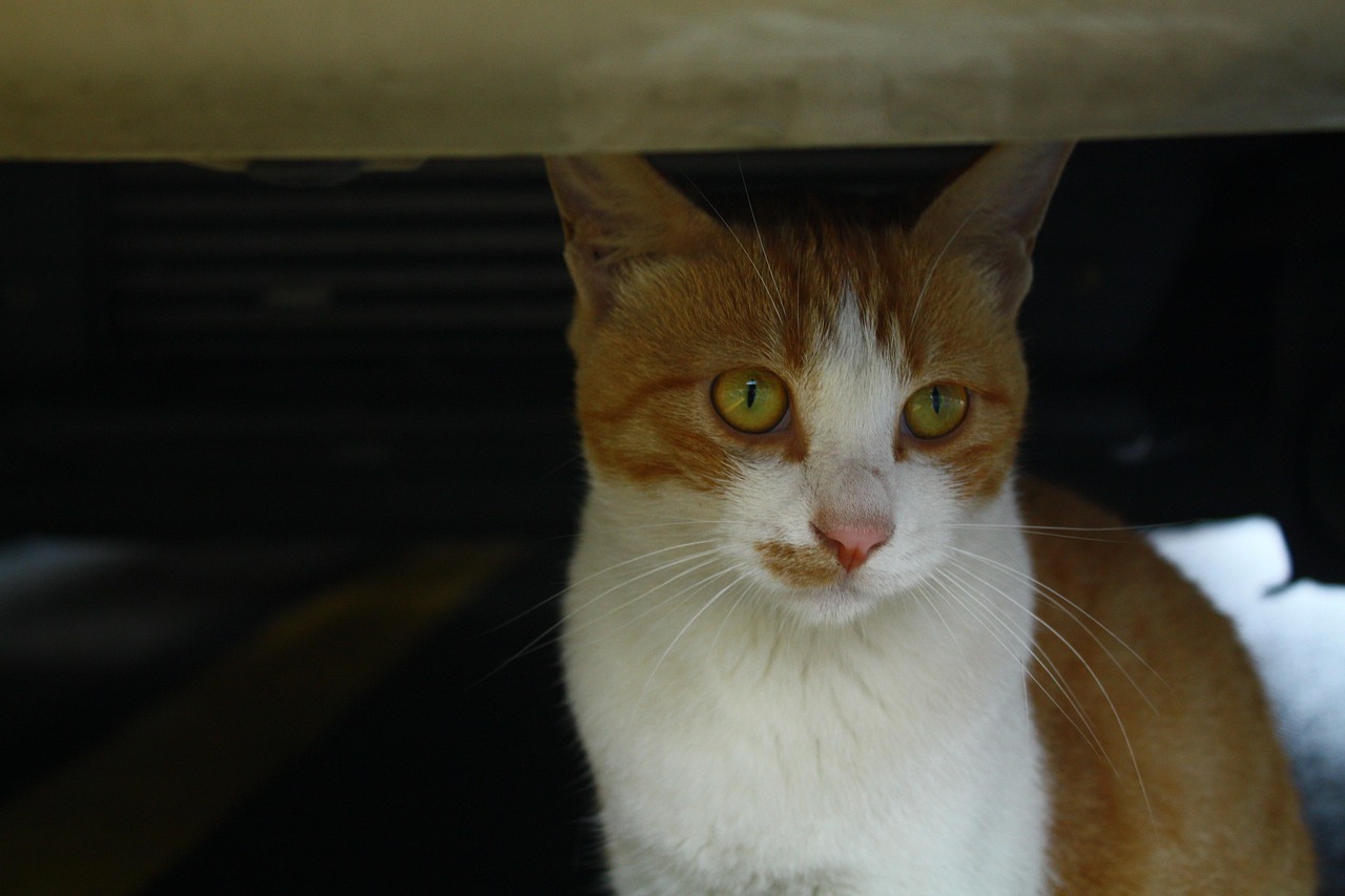 이이경이 다양한 패션 아이템을 착용하고 포즈를 취하는 모습