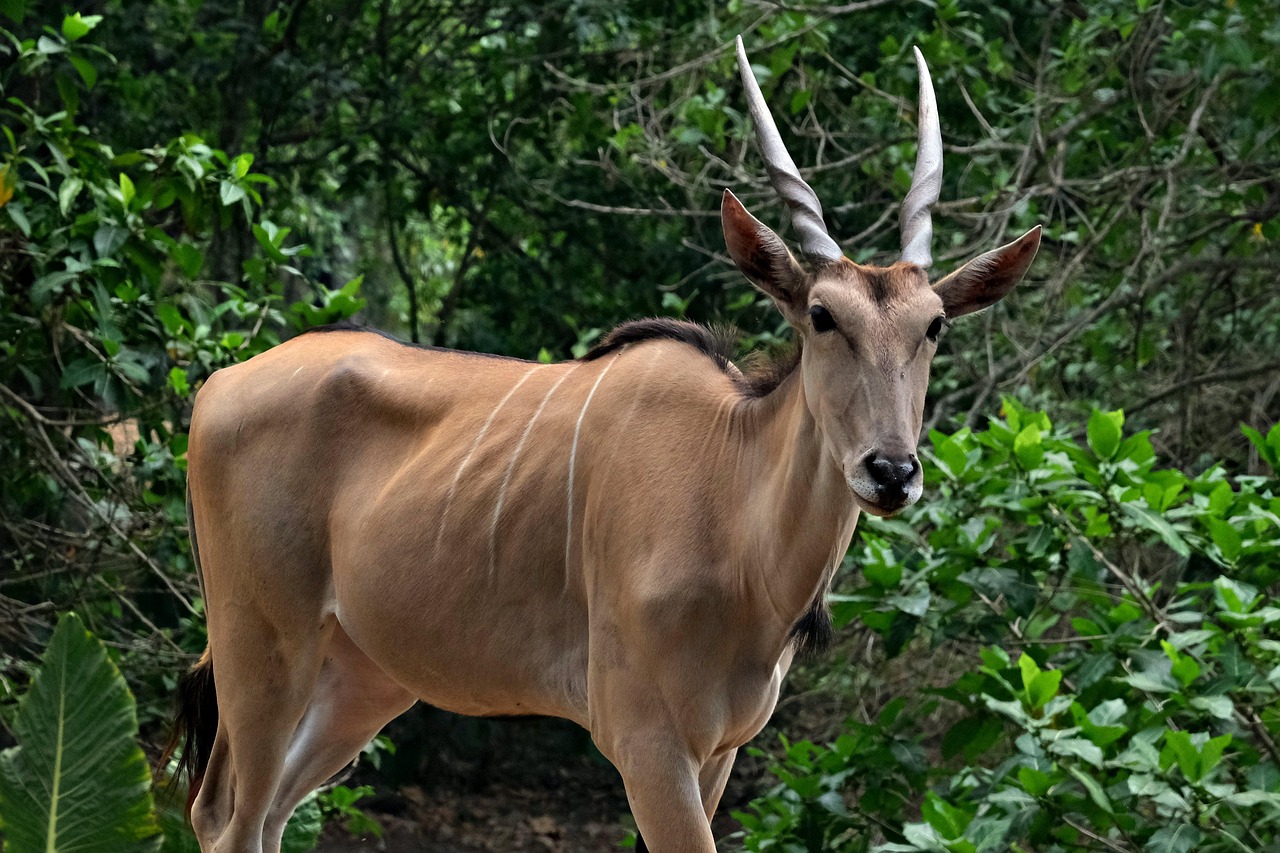 천안 이랜드 화재로 연기로 가득 찬 건물 외관과 소방차가 출동하는 모습