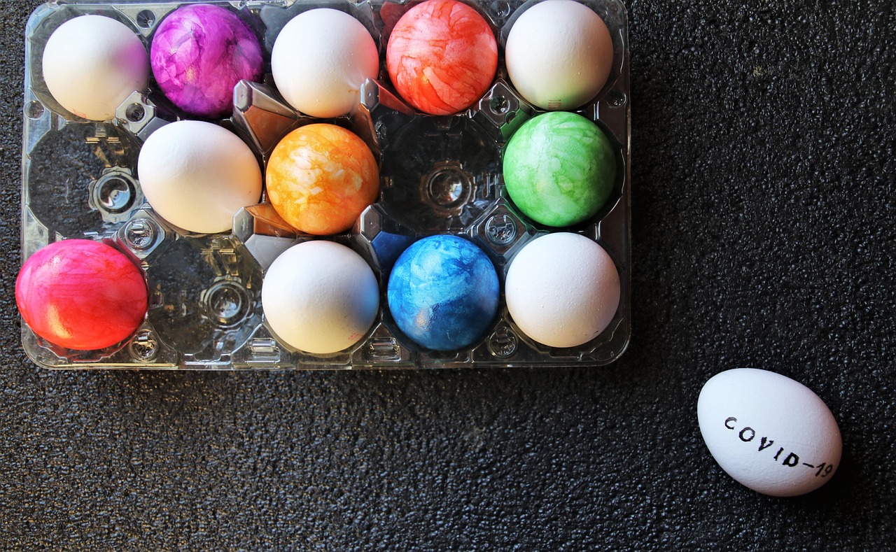 도란의 다양한 색상과 형태가 돋보이는 화분에서 자생하는 모습