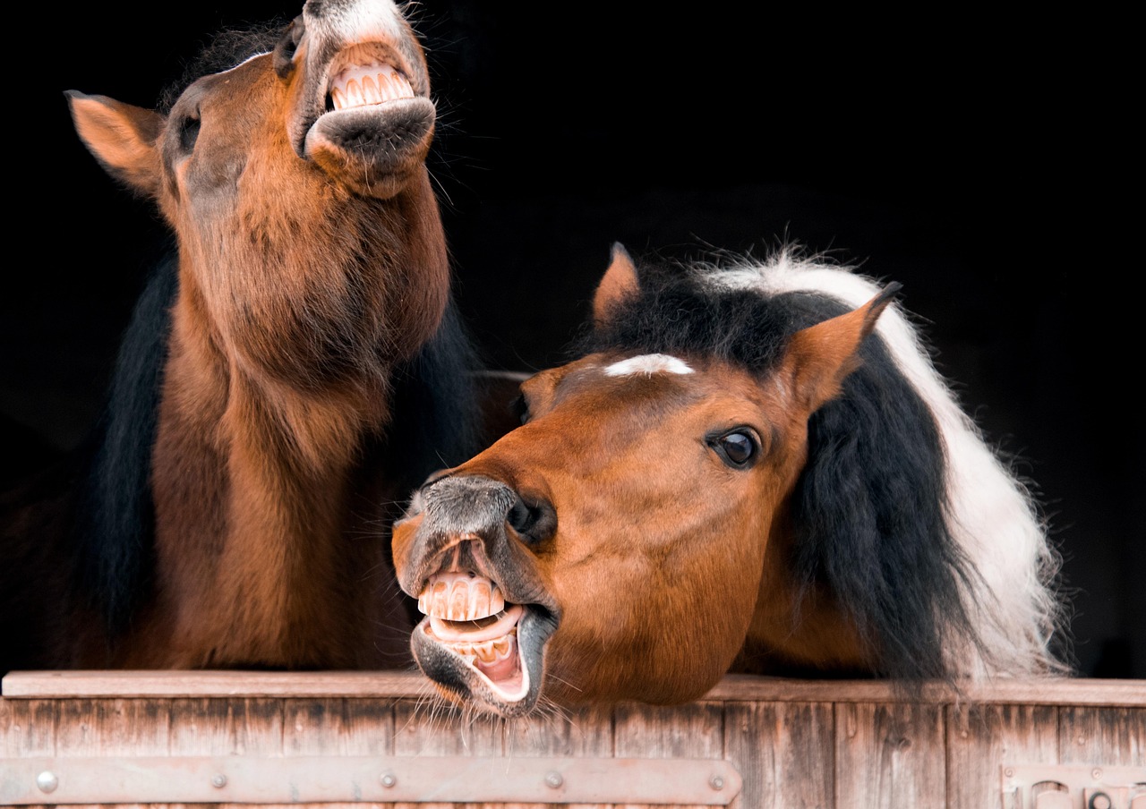인하대학교 캠퍼스의 아름다운 풍경과 학생들이 학습하는 모습
