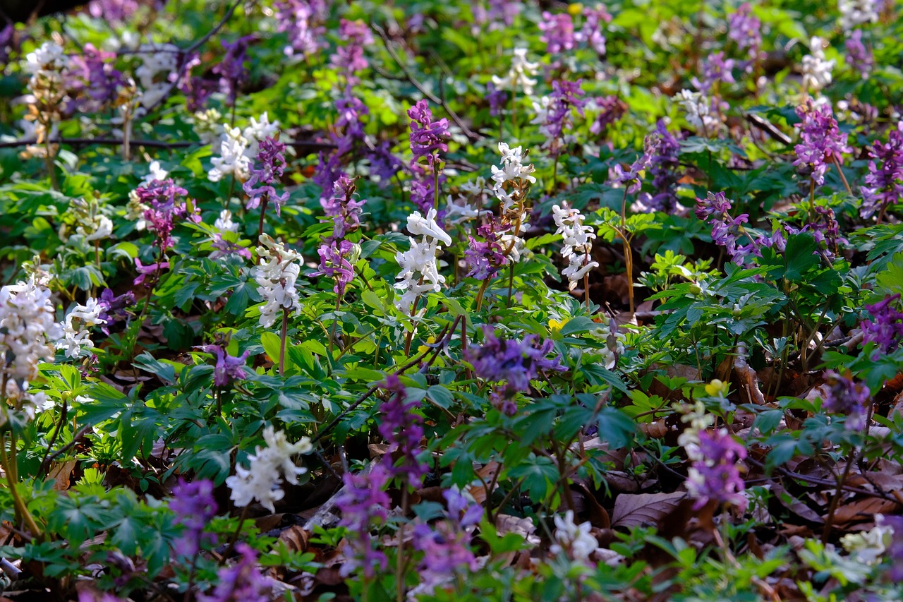 정현호가 새로운 프로젝트에 대해 발표하는 모습, 프레젠테이션 자료를 앞에 두고 있는