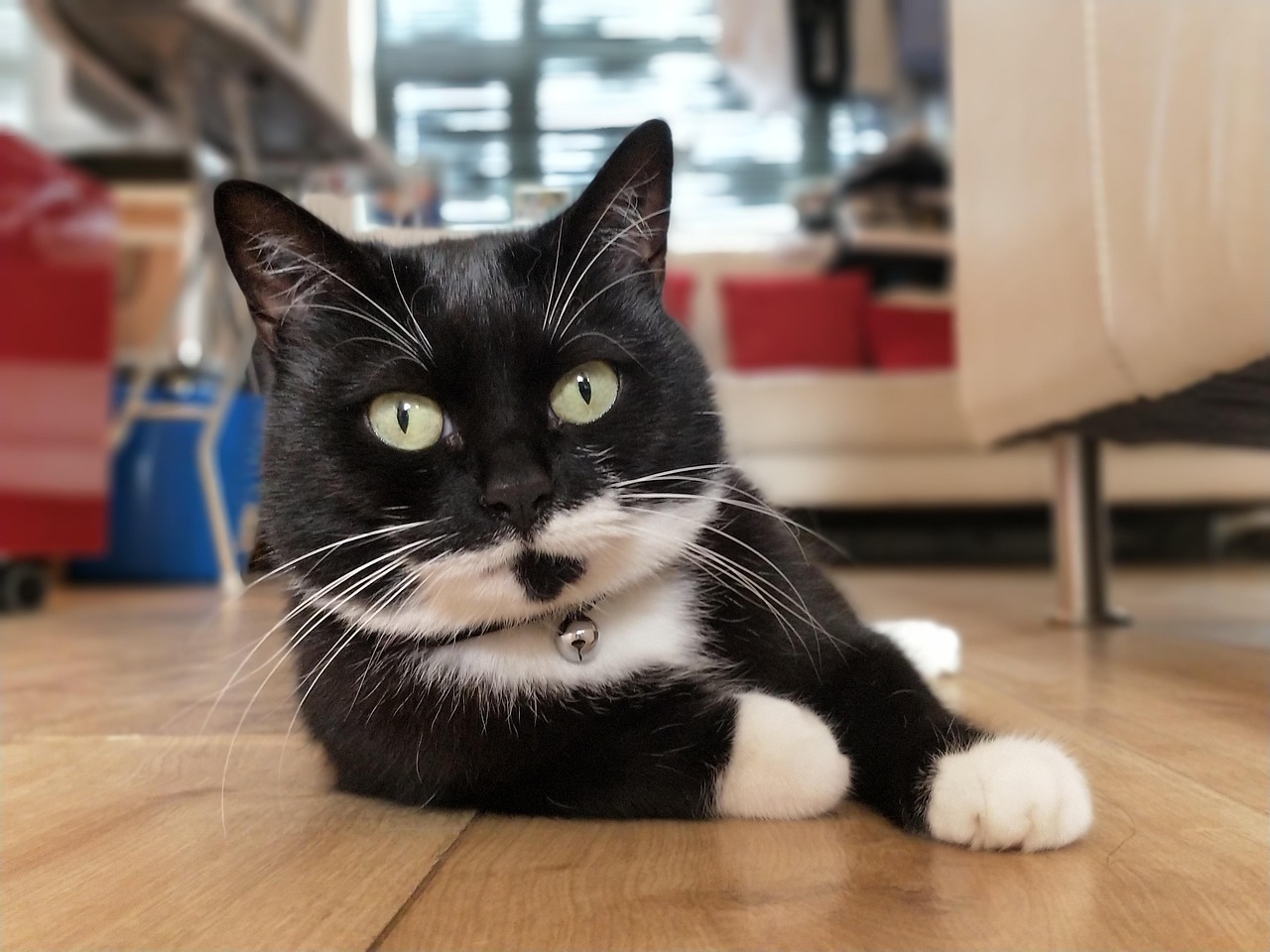 수능 시험지를 들고 긴장한 표정으로 공부하는 학생의 모습