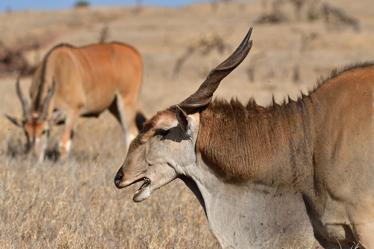 천안 이랜드 화재로 연기로 가득 찬 건물 외관과 소방차가 출동하는 모습