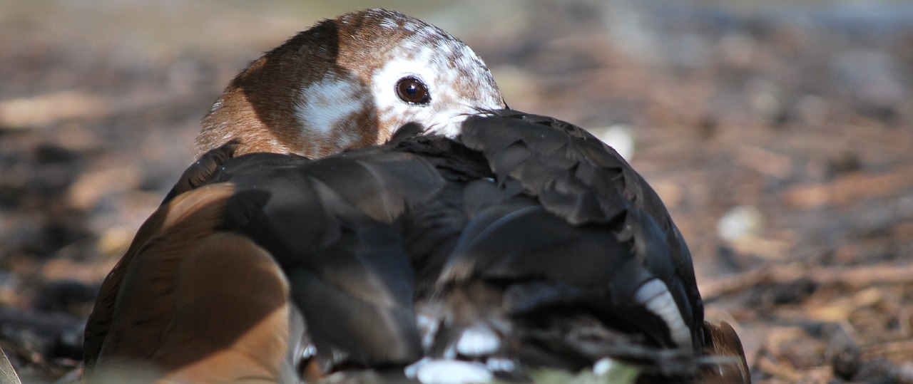 수능 시험지를 들고 긴장한 표정으로 공부하는 학생의 모습