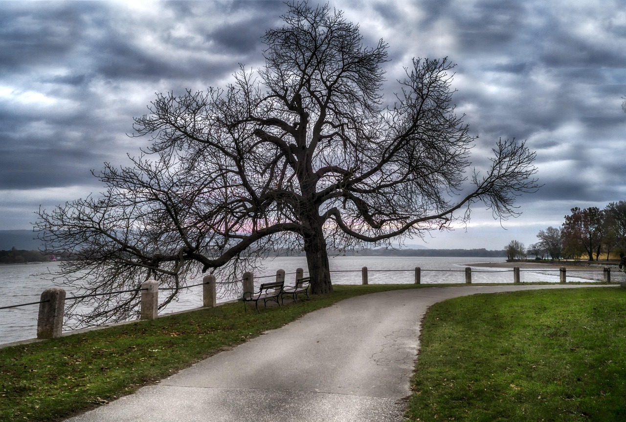 쿠팡 개인정보 보호를 위한 설정 화면을 보여주는 스마트폰 화면