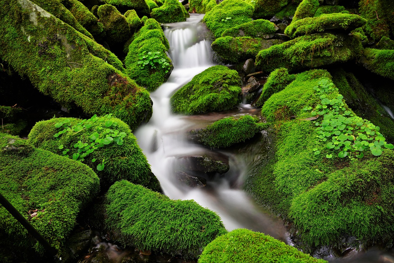 로또 1198 회 당첨 번호 추첨 현장을 담은 이미지, 긴장감 넘치는 분위기