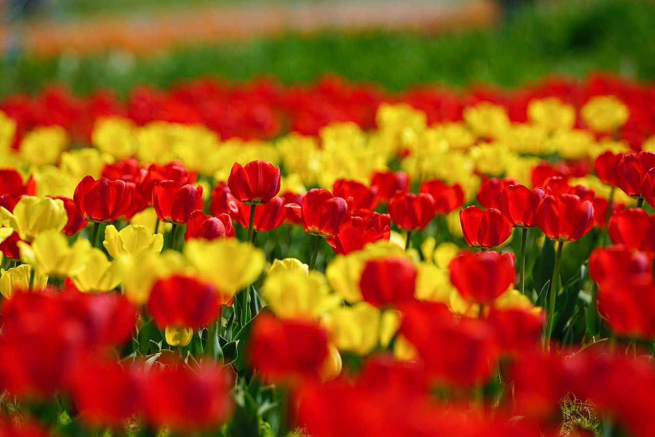 파주 단수 관련 자료를 조사하는 모습과 부동산 정보가 담긴 화면