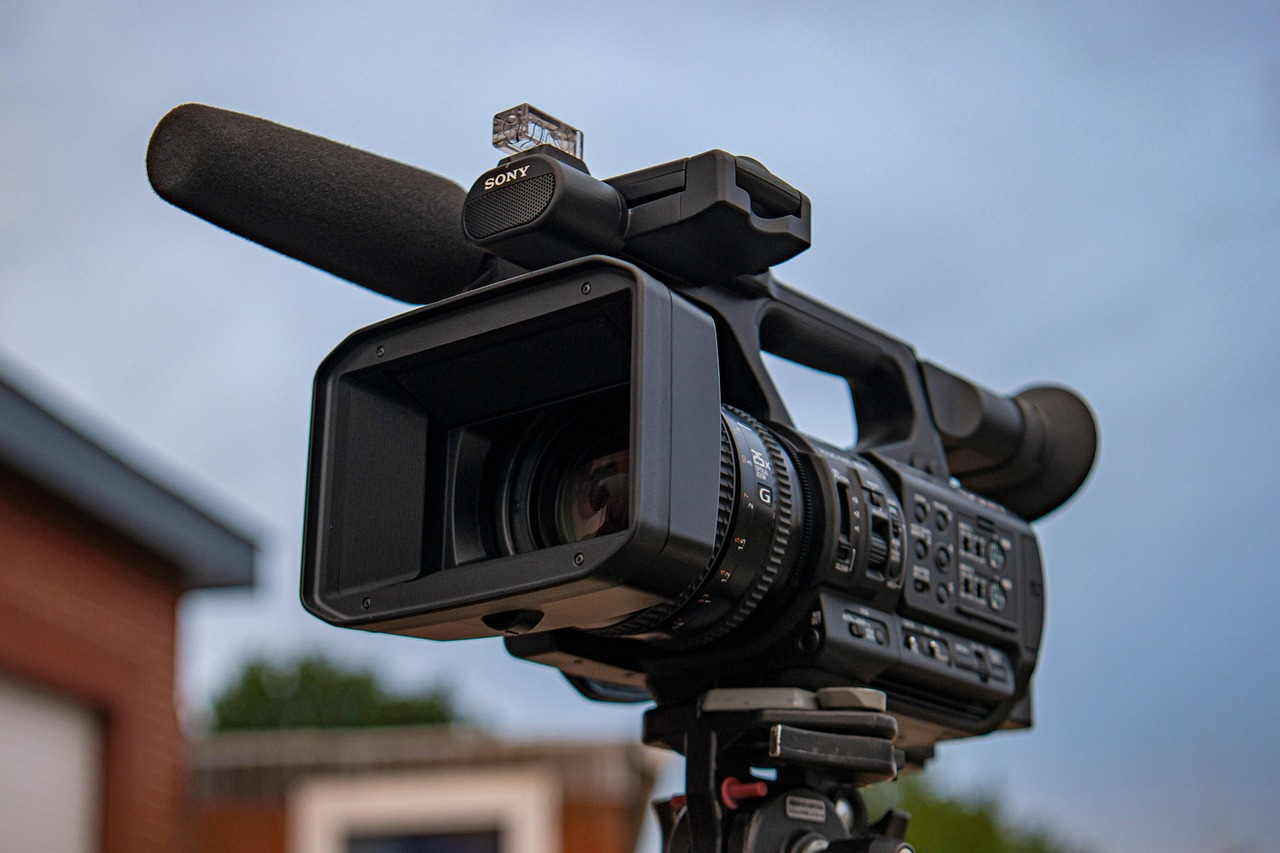 비디디 플랫폼에서 사용자들이 다양한 콘텐츠를 탐색하는 모습