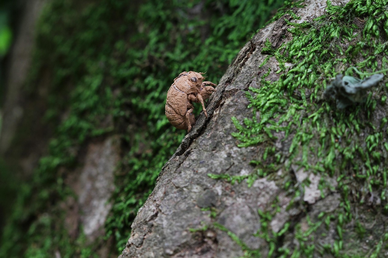 박미선이 무대 위에서 환한 미소를 지으며 관객과 소통하는 모습