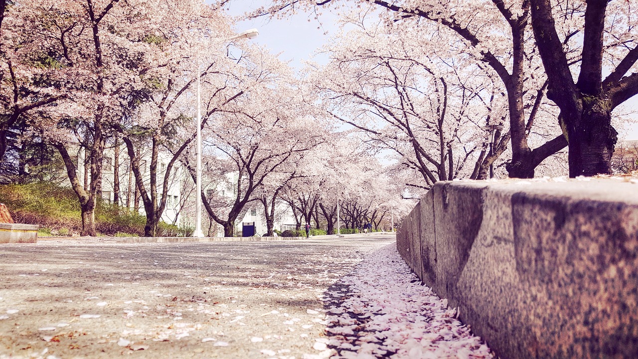 김영남 전 북한 최고인민회의 상임위원장 별세와 그 의미 김영남이 역사적인 순간을 기념하며 축하하는 모습의 사진