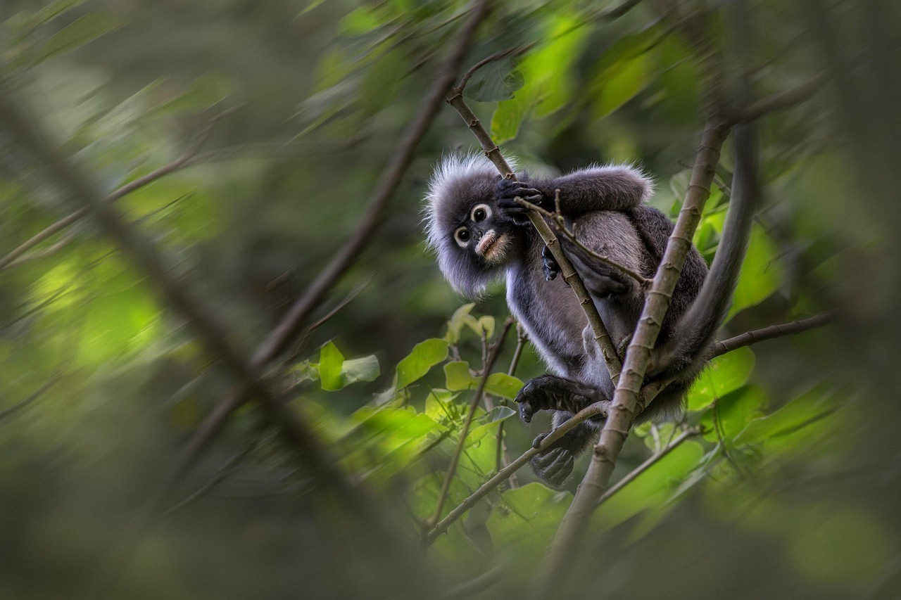 나경원이 정치 행사에서 연설하는 모습으로 카메라를 바라보고 있는 장면