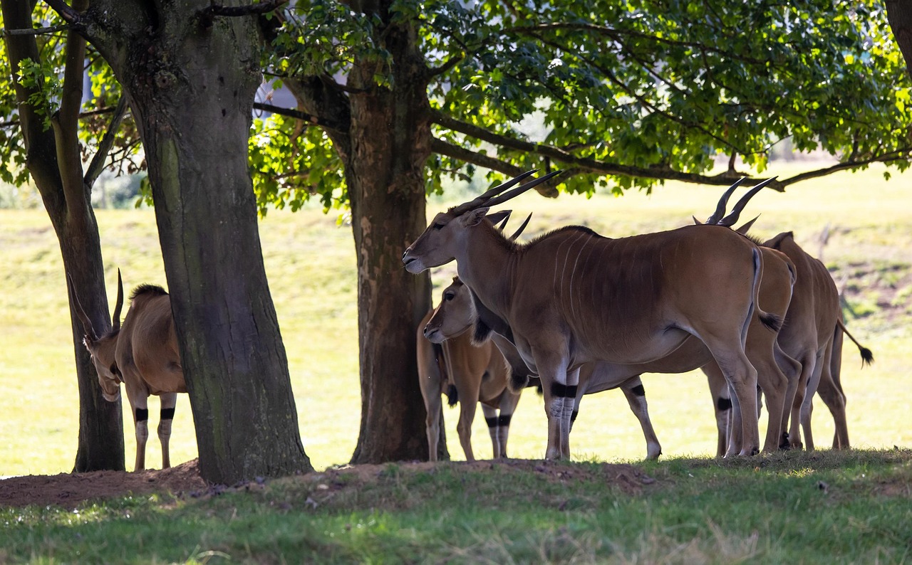 이랜드 매장에서 다양한 패션 상품을 쇼핑하는 고객들의 모습