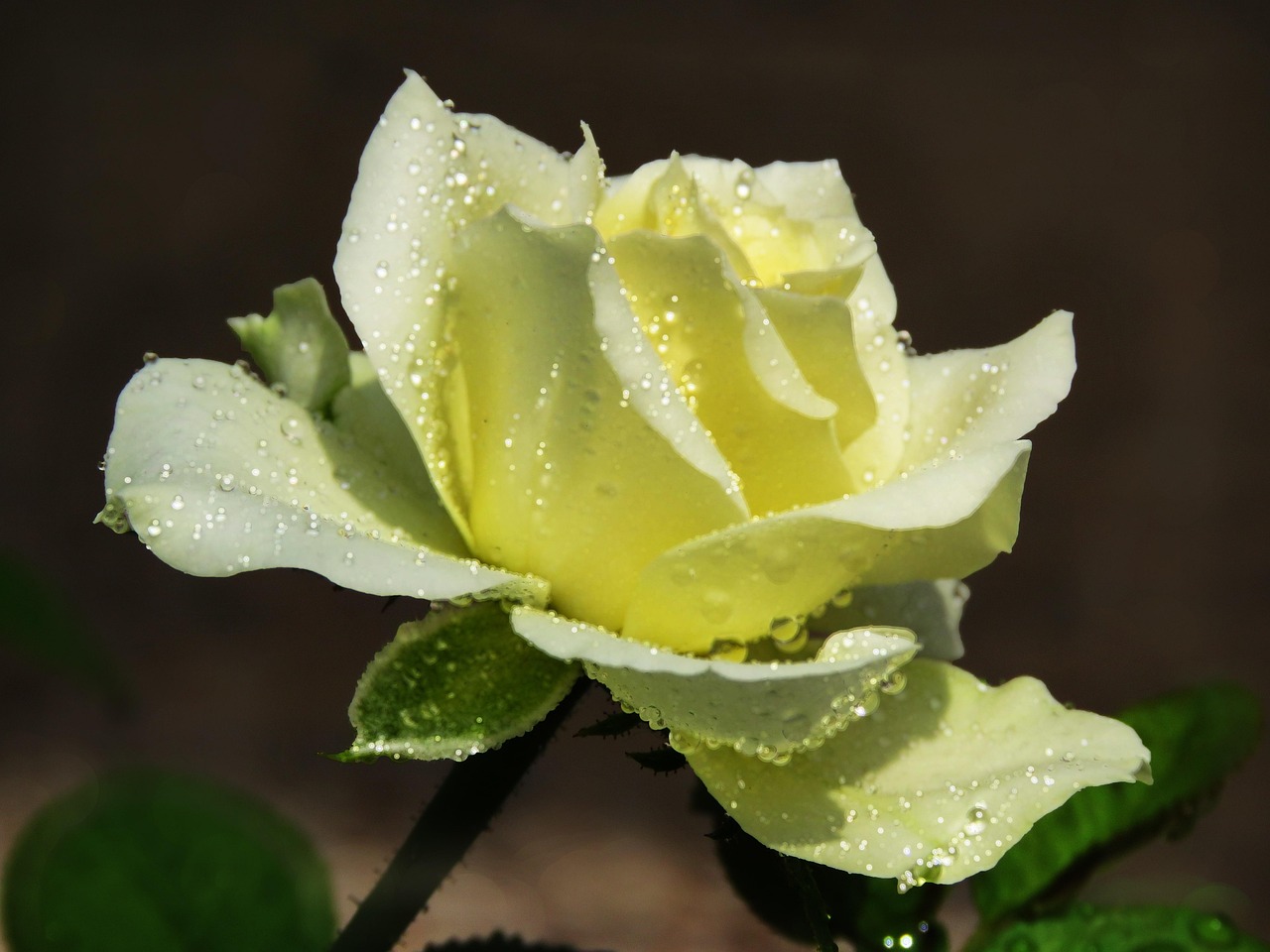 박미선이 무대 위에서 환한 미소를 지으며 관객과 소통하는 모습