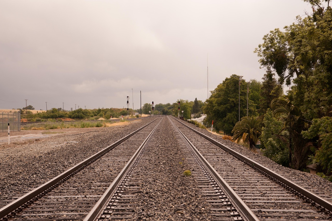 새크라멘토 킹스의 대역전극, 골든 스테이트 워리어스와의 치열한 대결 새크라멘토 대 골든 스테이트 경기에서 선수들이 열띤 경쟁을 펼치는 모습