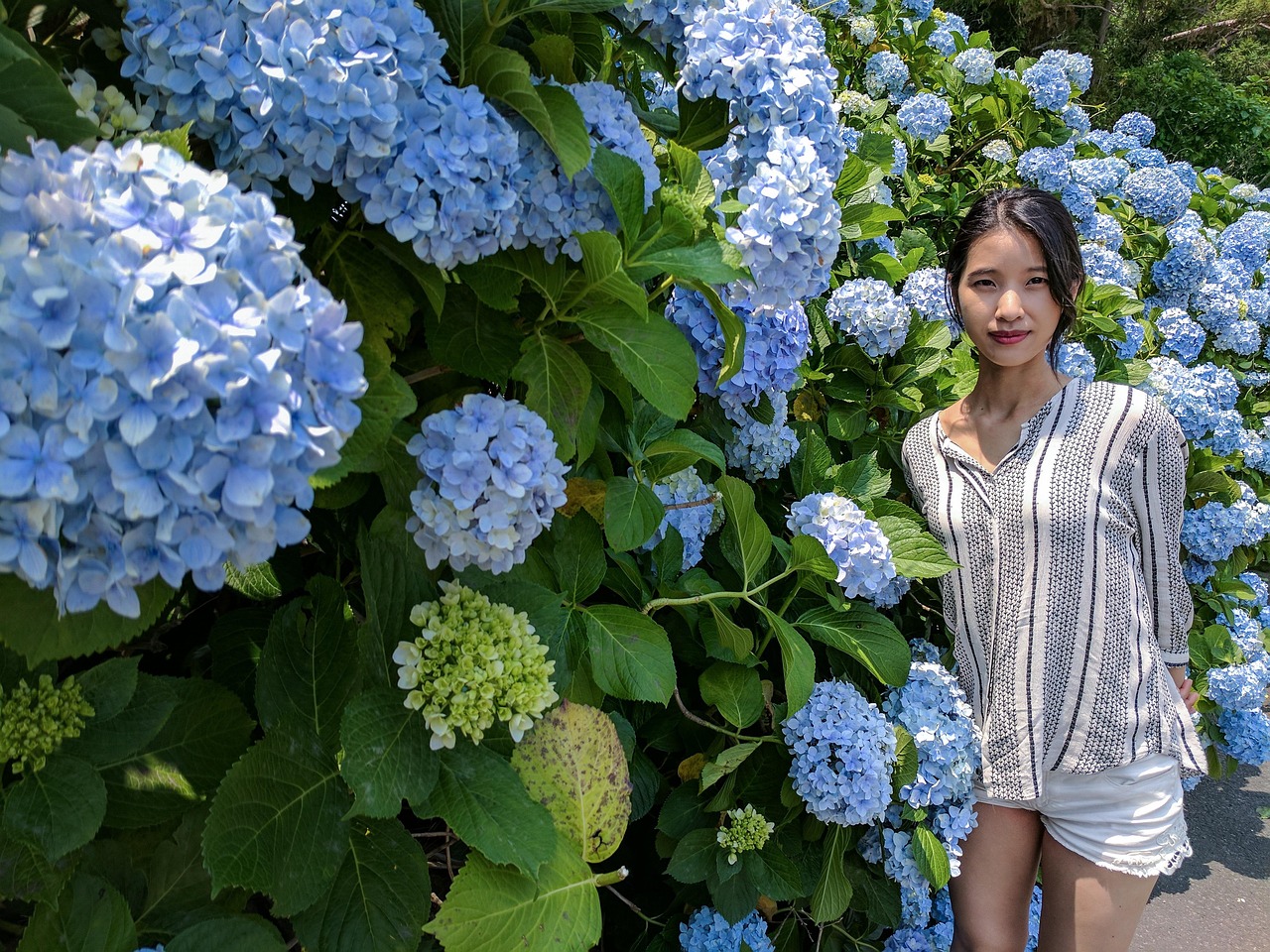 수원 대 제주를 주제로 한 아름다운 풍경과 여행지 사진, 두 지역의 매력을 비교하는 모습