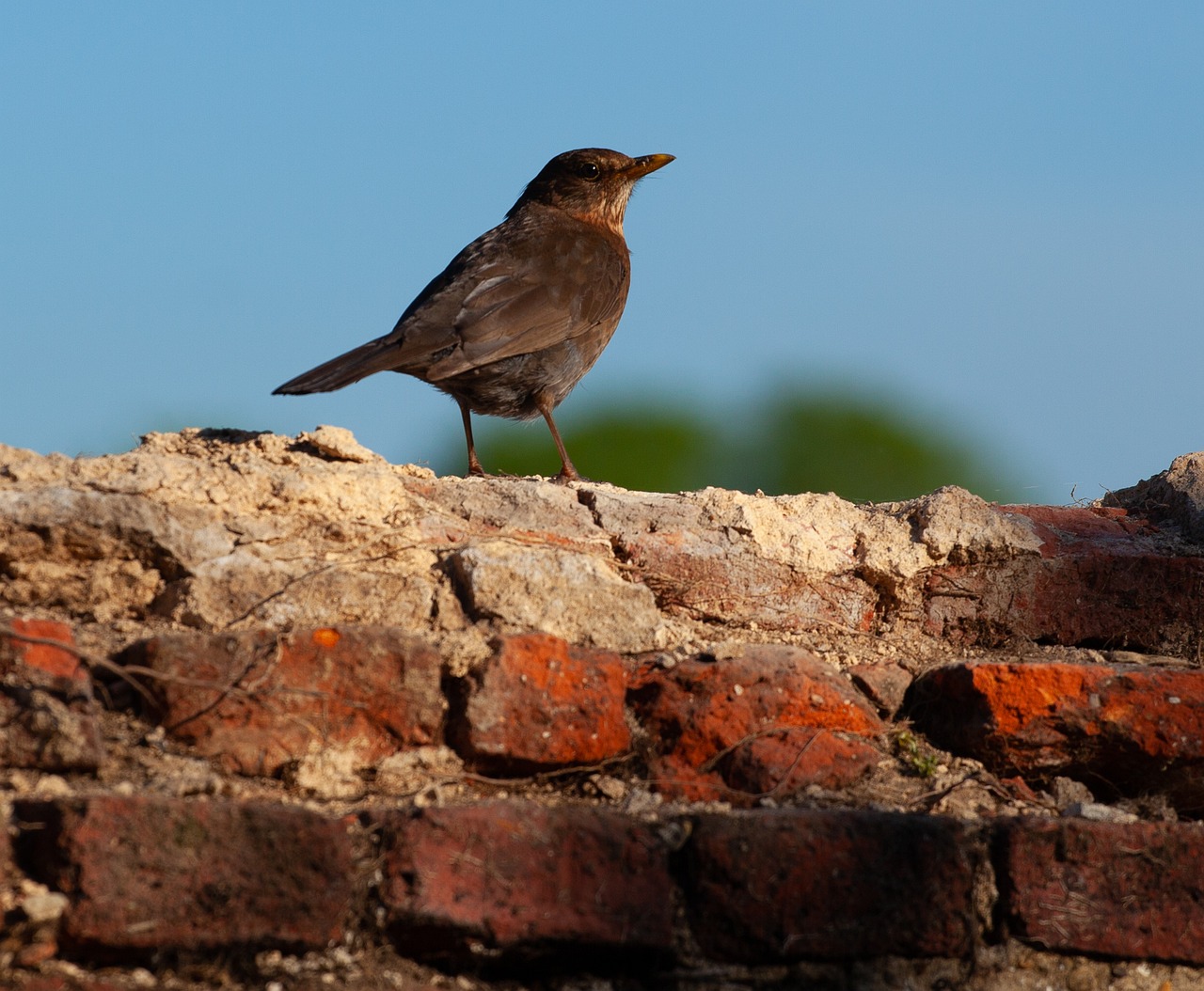 블랙버짓을 활용하여 예산을 관리하는 사람의 모습
