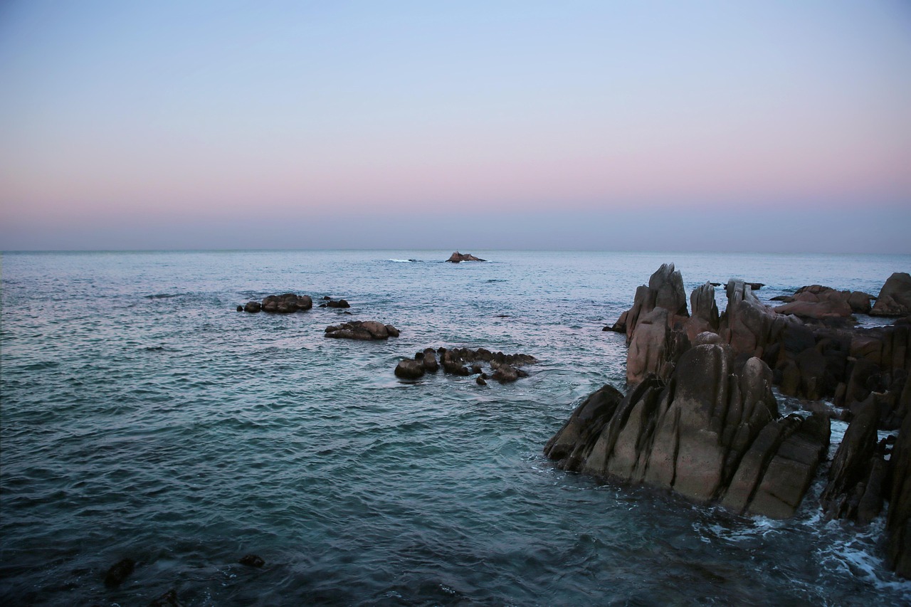 문진석의 활동을 보여주는 사진, 정치 행사에서 발언하는 모습