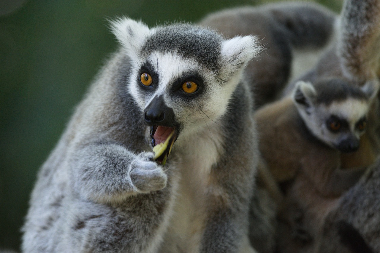 전우원이 인터뷰 중에 진지한 표정으로 질문에 답하는 모습