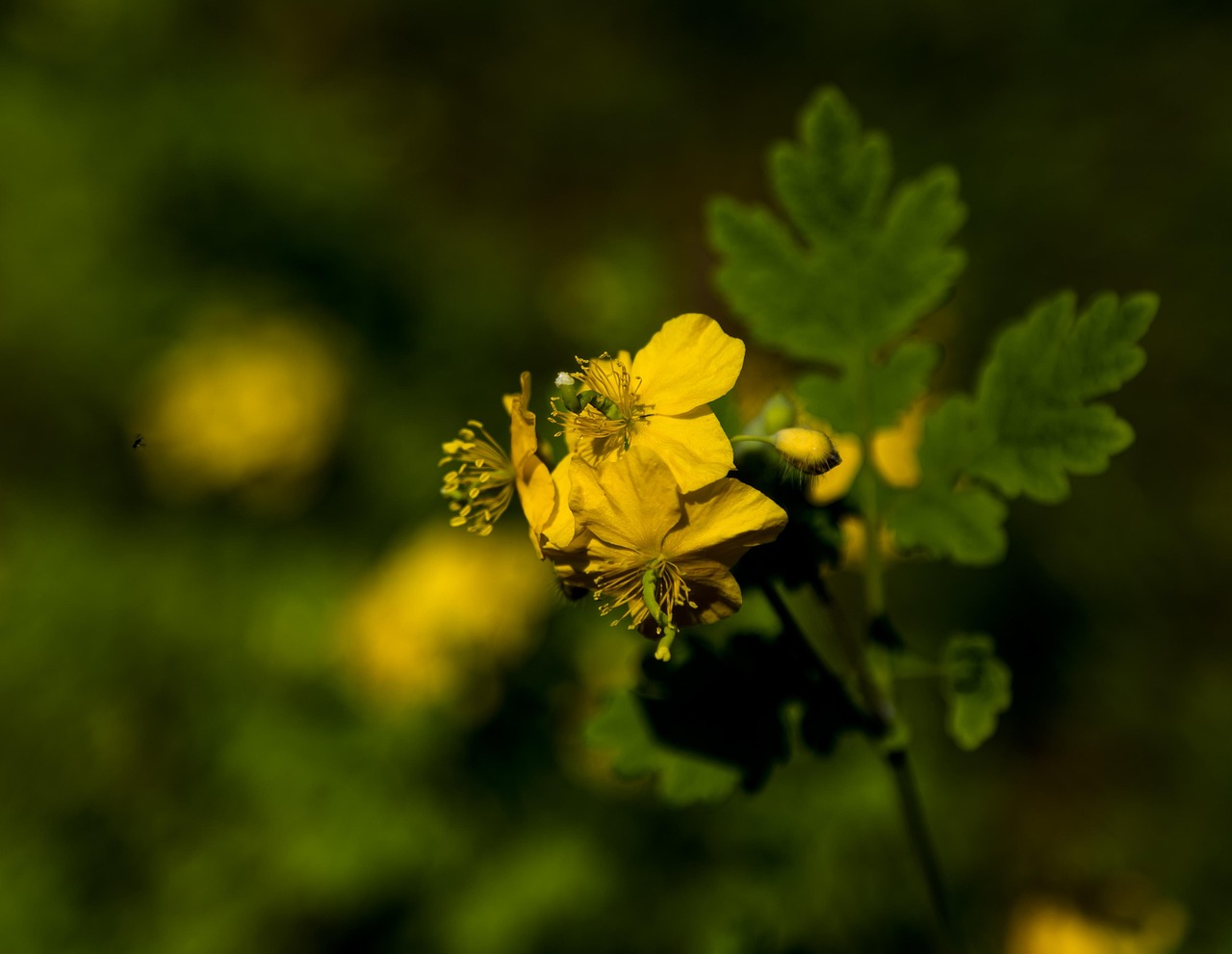 부천 대 수원, 승강 플레이오프의 승자는 누구일까? 부천과 수원의 주요 명소를 비교하는 인포그래픽 이미지