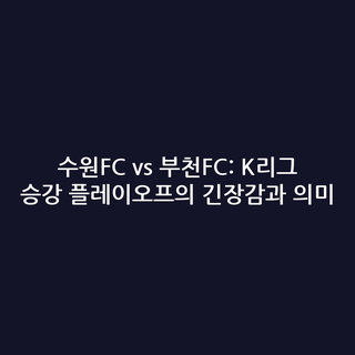 수원FC vs 부천FC: K리그 승강 플레이오프의 긴장감과 의미
